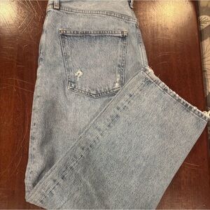 AGOLDE 90s Straight Ankle Jeans